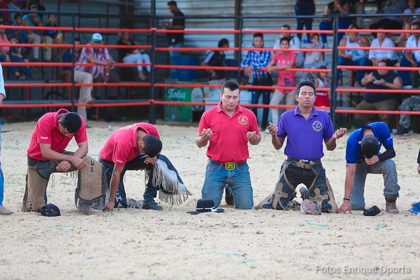TOROS